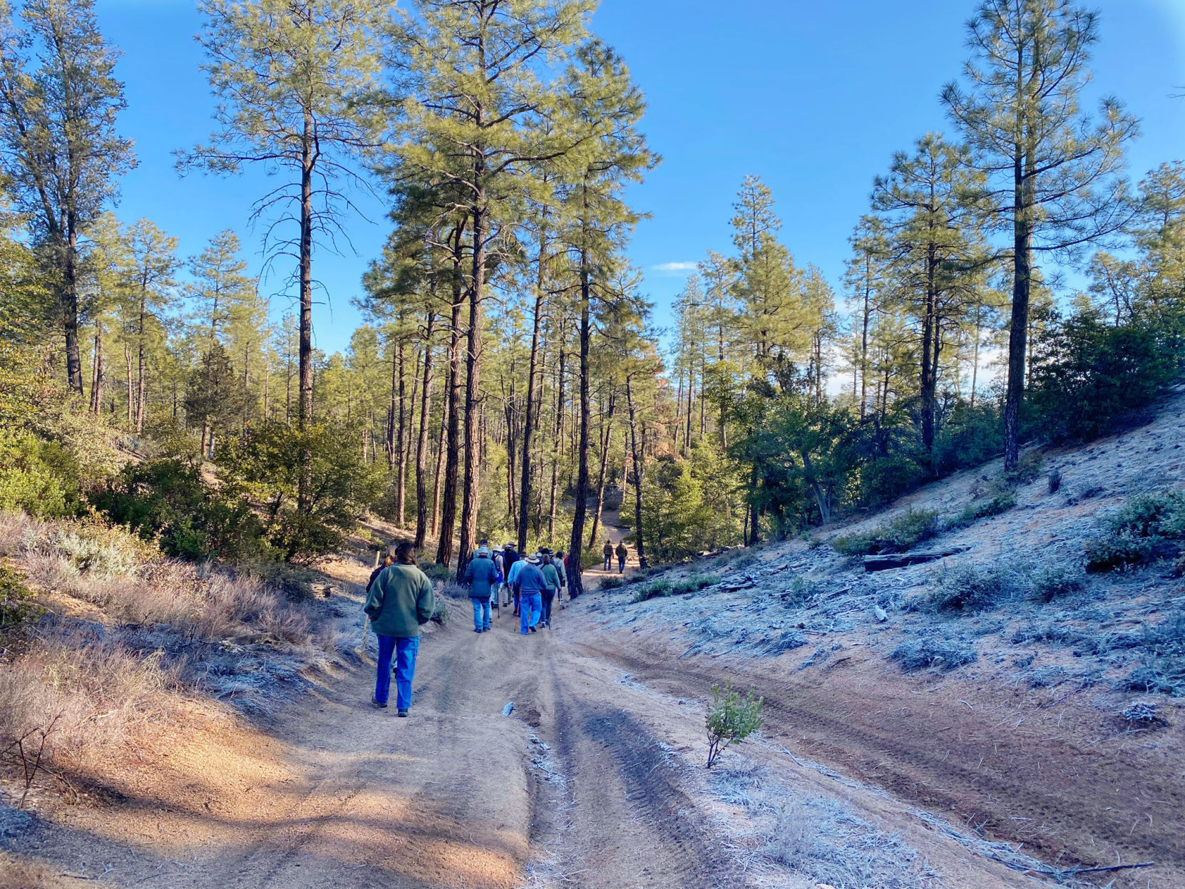 Frost covered Monument Peak Loop trail